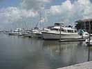  Marina Del Sol clear lake marinas boating houston yacht club marinas dry boats slips rent yachting centers clear lake yacht clubs marina galveston yachts club texas sailboat slips league city houseboat marinas dry stack boat slip available houston live aboard boathouse marine center sailboats slip houston houseboats wet slips clear lake boathouses liveaboard marinas texas 